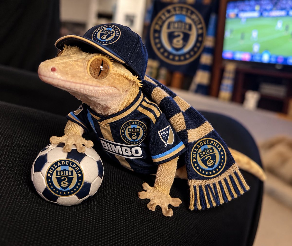 JeffSendsIt's tweet photo. Unions #1 fan https://t.co/iQ6WwJSNry