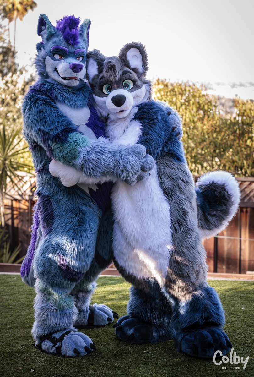 colby_husky's tweet photo. He is my favorite wolf in the whole word. It's always the best when we're together. <3

🐺 @Yukon_Wolf https://t.co/CCUvX725uY