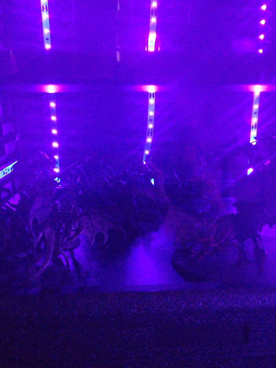 MoonLitInferno_'s tweet photo. Not done yet but getting there... https://t.co/Jo9kD25A6d
