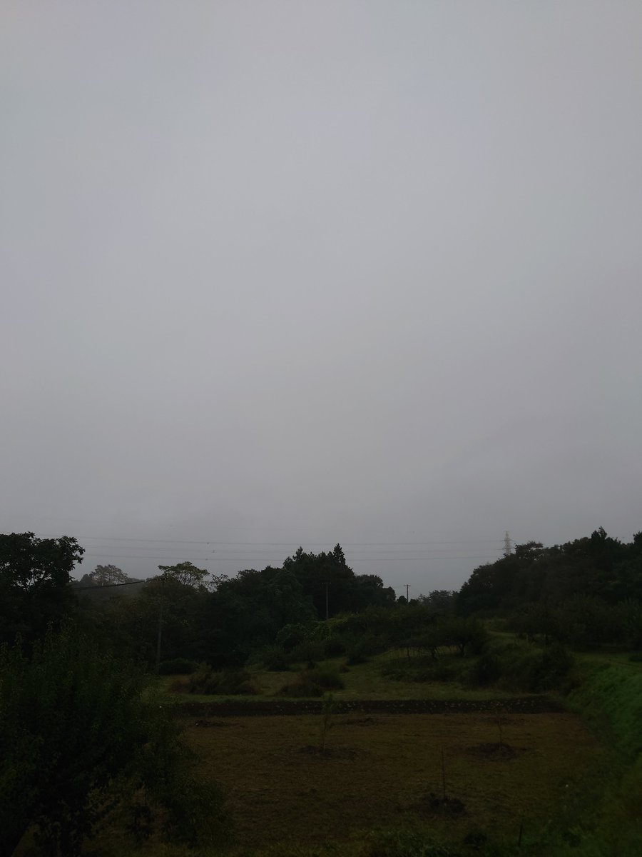 CBR_650_R's tweet photo. あっ、ポスト送信出来てなかった・・　　　　

おはようございます。霧雨が少し降ってます。薄暗い天気気温１７℃位です。一日こんな感じの天気っぽい・・・　＃福島県伊達市　＃伊達市　全日本ラリー見に行ってみたいけどどこ走ってるかも調べてない（笑）　＃全日本ラリー https://t.co/omYuUR8a5e