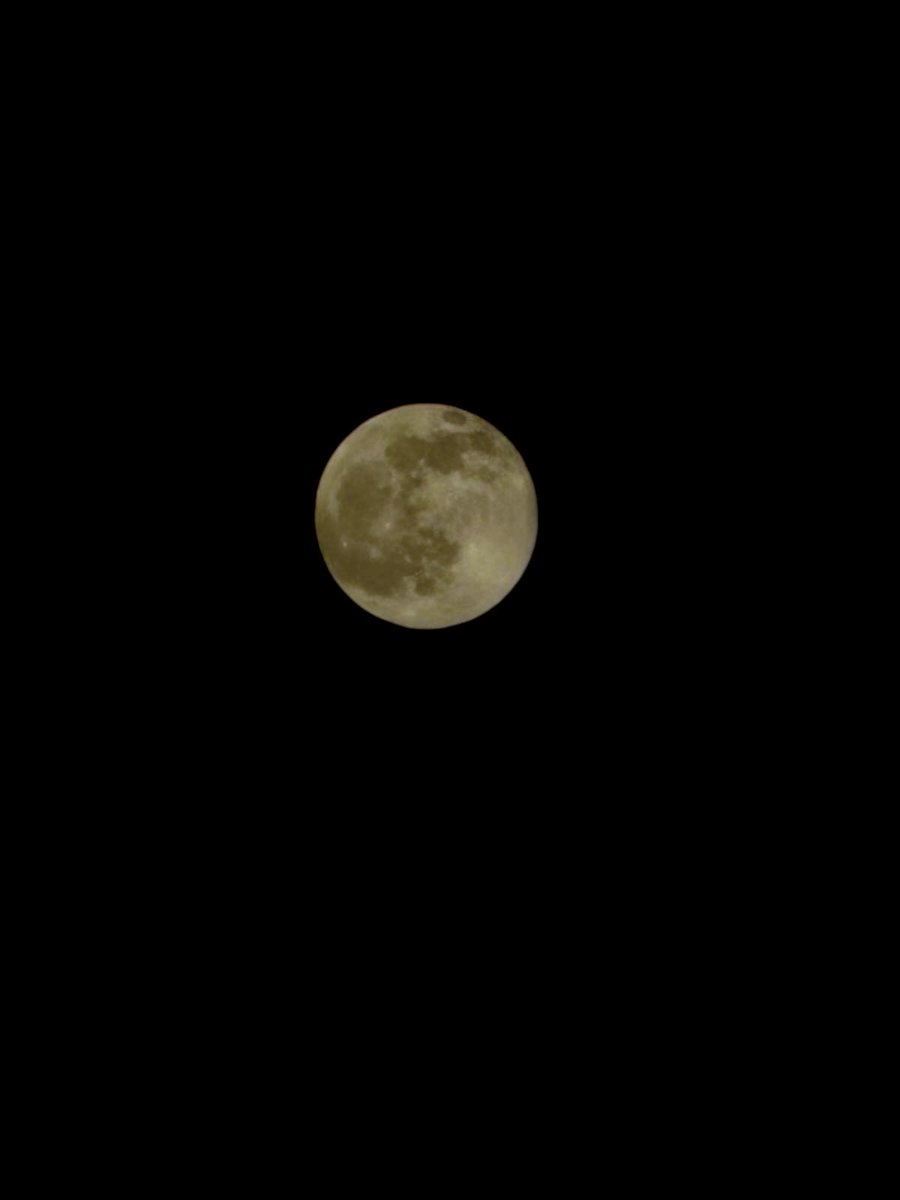 epintadorm's tweet photo. Full moon tonight #SaturdayNight #MOONSHOT #moonnight #fullmoon #lovelysky #mypics https://t.co/0FTdmvj5ON