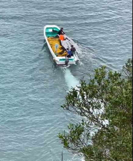 minpintoo's tweet photo. #TaijiCoveJAPAN🔴: Just another day at work for these insensitive thugs, who have just murdered the entire family of unfortunate #MelonHeaded #Whales under the tarps &amp; are going home. 🐳🐳💔Terrible Tragedy we have witnessed so many times but will NEVER get used to. R.I.P.🐳🐳🌈 https://t.co/yuZuDOafW9