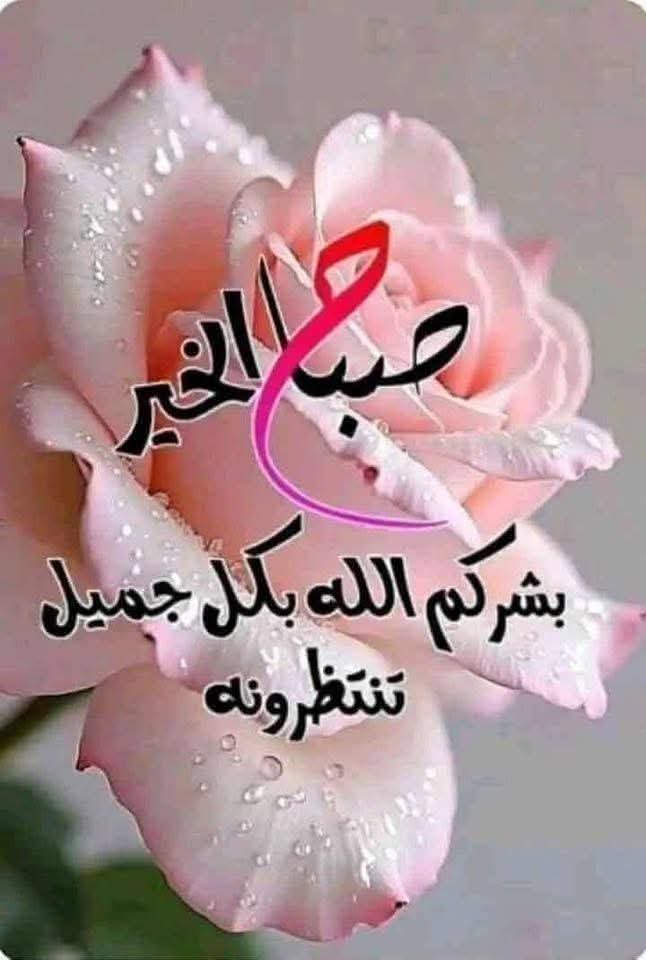 ykoot55 tweet picture