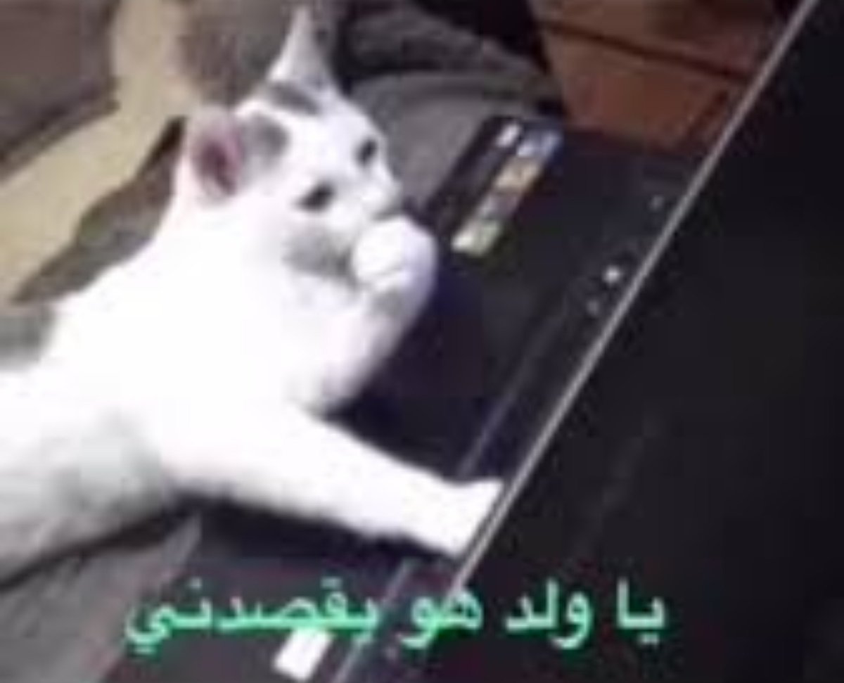 _7lmey's tweet photo. تحسست https://t.co/dbhA6Ehdjt