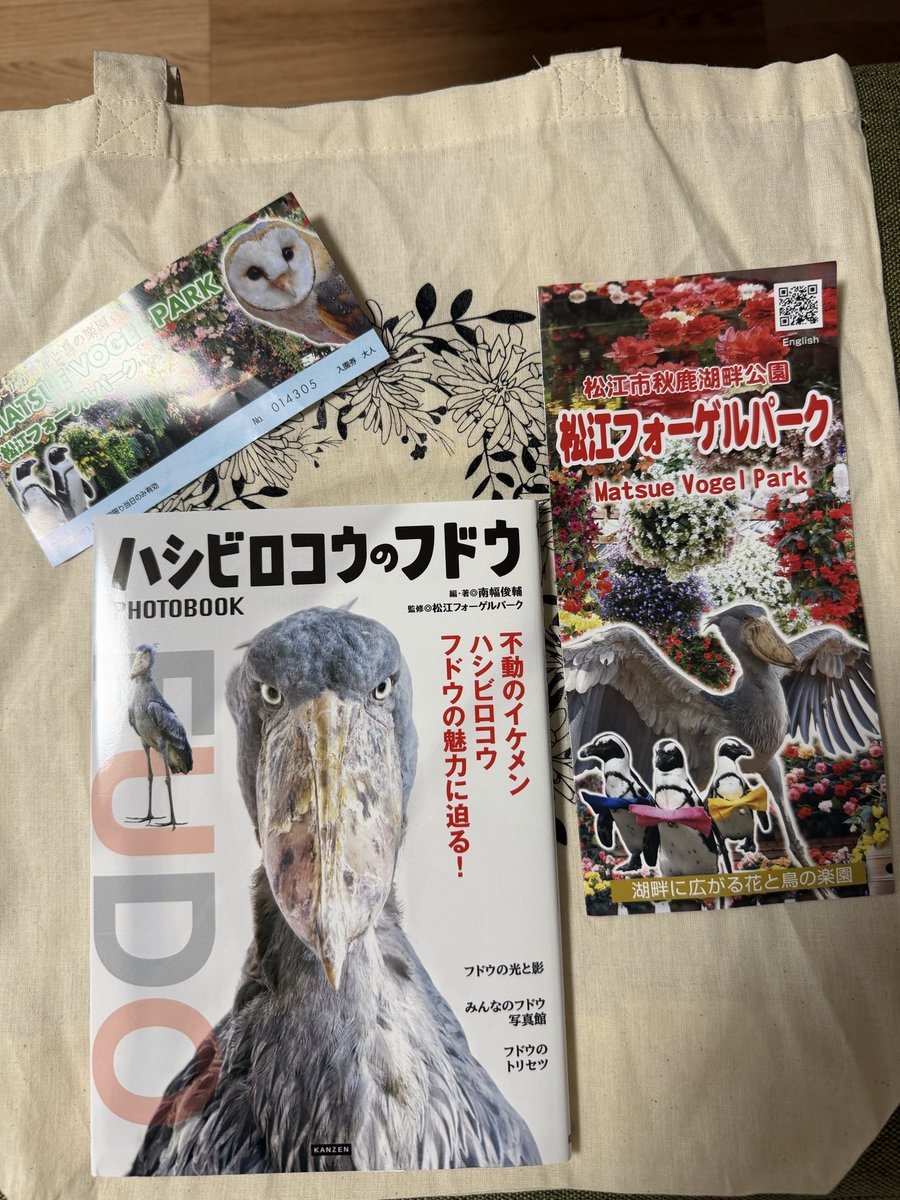 kym0096's tweet photo. 念願のハシビロコウのフドウくんと足立美術館へ
フドウくんはあんまり動いてくれなくて残念　足立美術館は魯山人館などもできていてどこも美しく圧倒されまた訪問したい場所になりました
＃松江フォーゲルパーク
＃足立美術館 https://t.co/wbgd568fzx