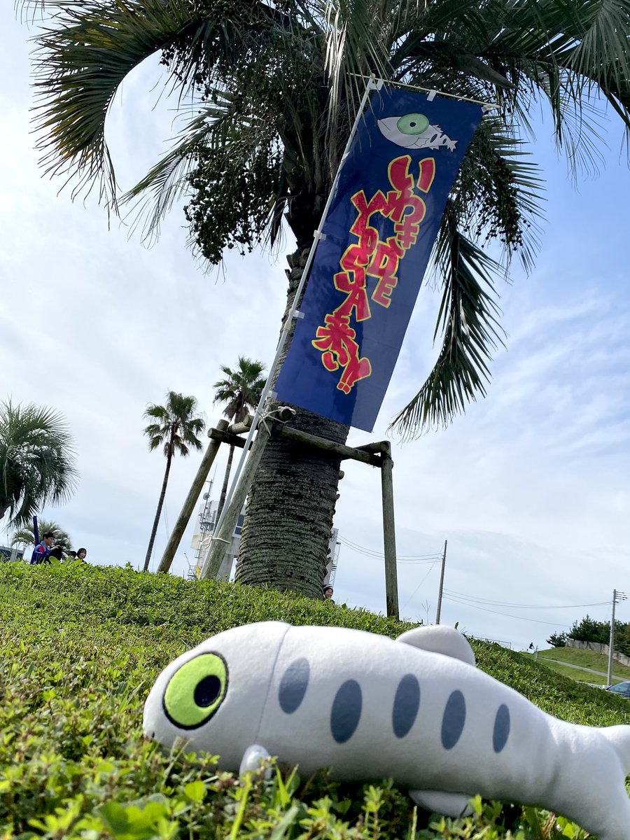 la_meRMeR's tweet photo. よさこい祭り始まるよ〜✨🎉めひかりくじも始まるよ〜💨一緒に踊りたいなぁ🐟
#道の駅よつくら港 #めひかりくじ #めひかり #メヒカリ #催事 #深海魚 #ぬいぐるみくじ #ぬい活 #ぬい撮り #カツオくじ #カツオ https://t.co/tTtF2j3pDw