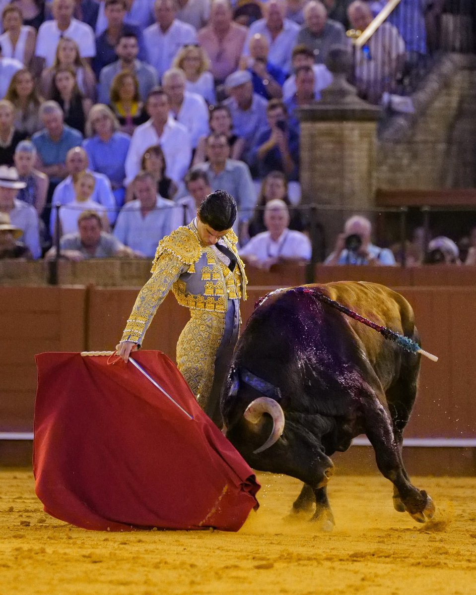 mediadeBelmonte's tweet photo. No se arrima, torea de lejos dicen... https://t.co/iHeATbvoav