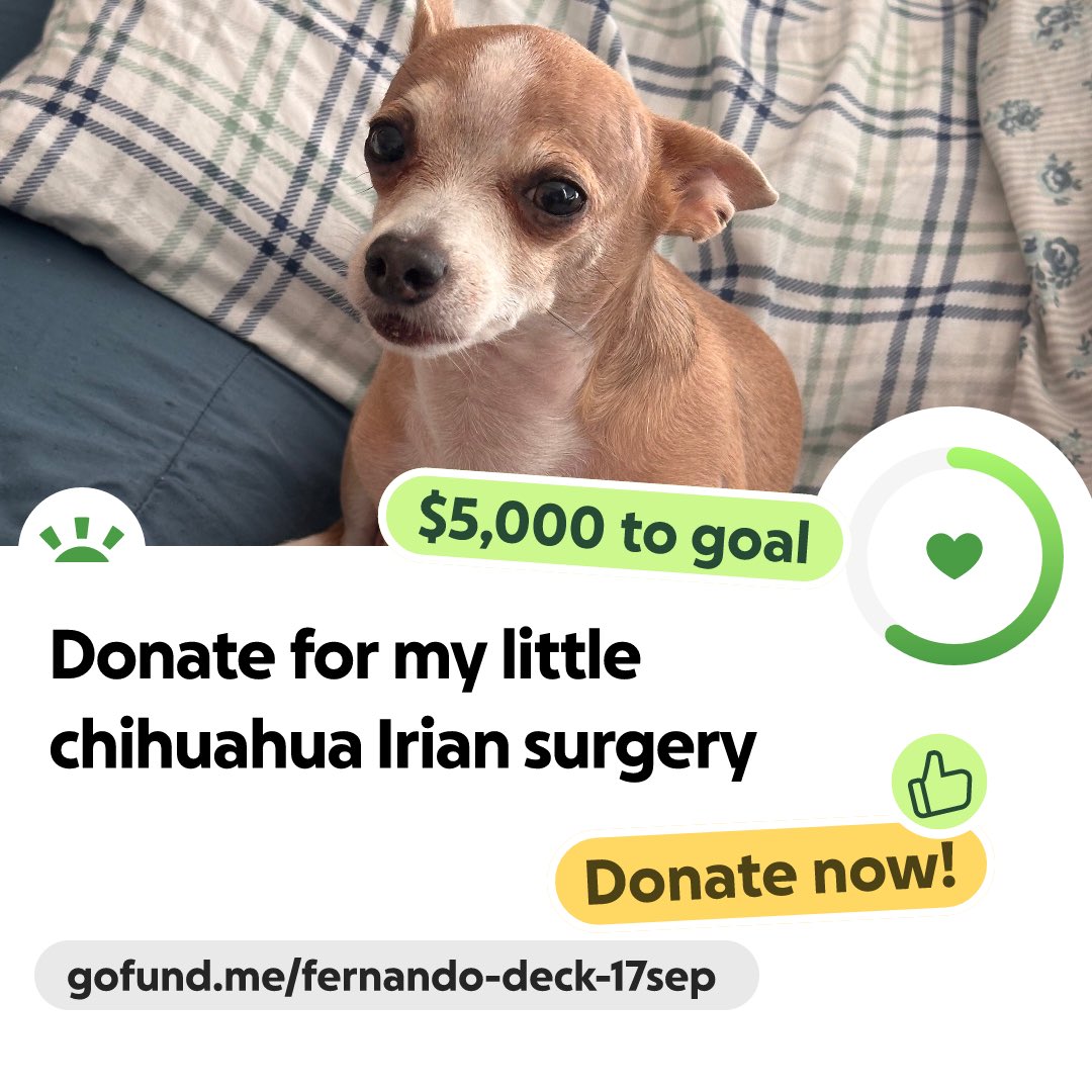 Fernand10400607's tweet photo. https://t.co/8uoYaYw3Df
Pls help &amp; share 
#DogCare #dog #fyp https://t.co/tm11RChpdB