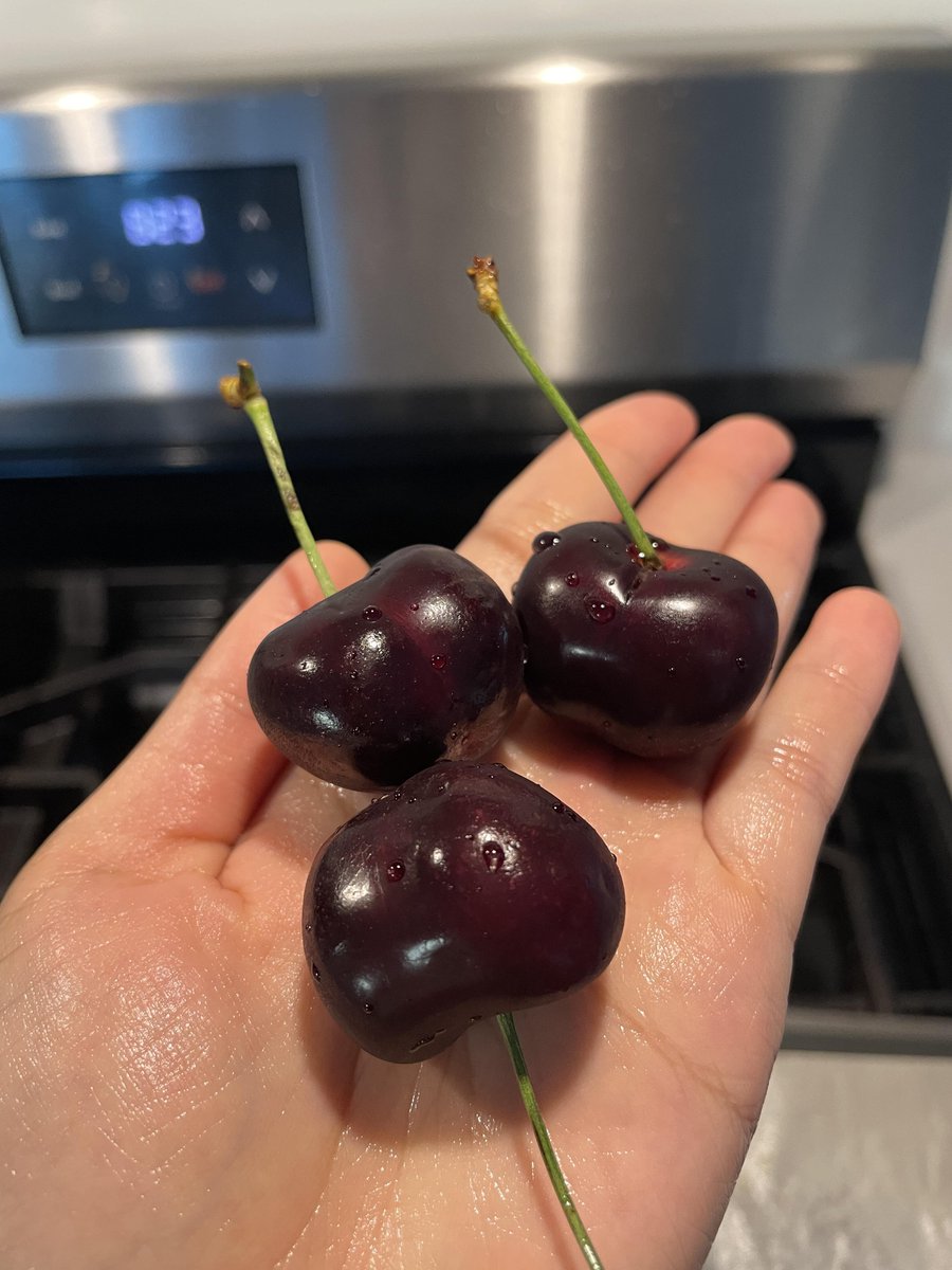 zara_skyfxd's tweet photo. I love cherries, but recently I heard people talking about 15J cherries onli

The ones I have are 5J siz, and they already look pretty big😂😂😂 https://t.co/aOHDI19ySy