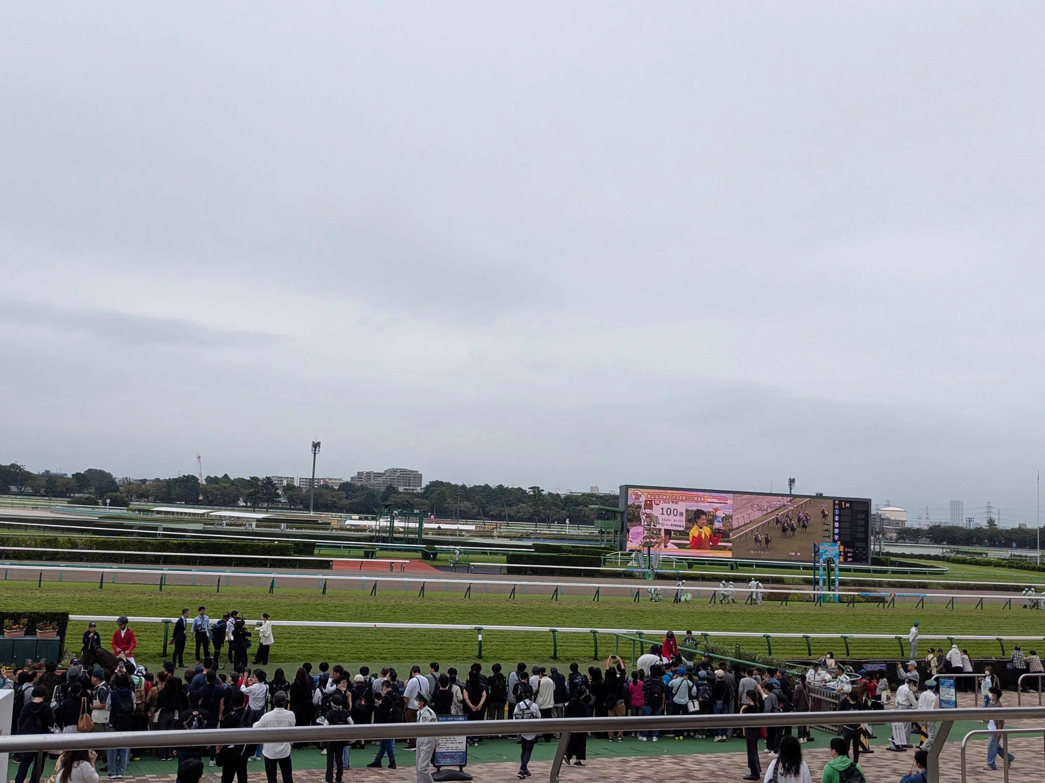 中山競馬場の馬場状態を攻略！クッション値と含水率が暴く最新傾向