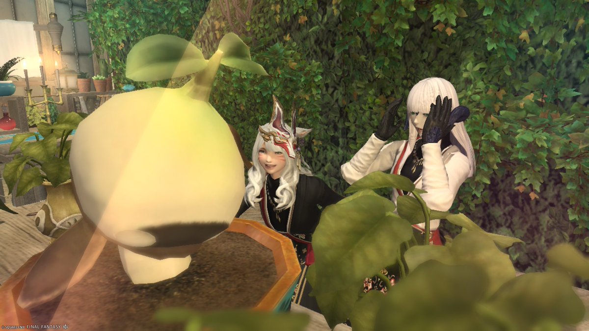 Lylfia_FF14's tweet photo. 続き・魔法学校その2
(横写真ver.) https://t.co/Ocr6RMnLBr