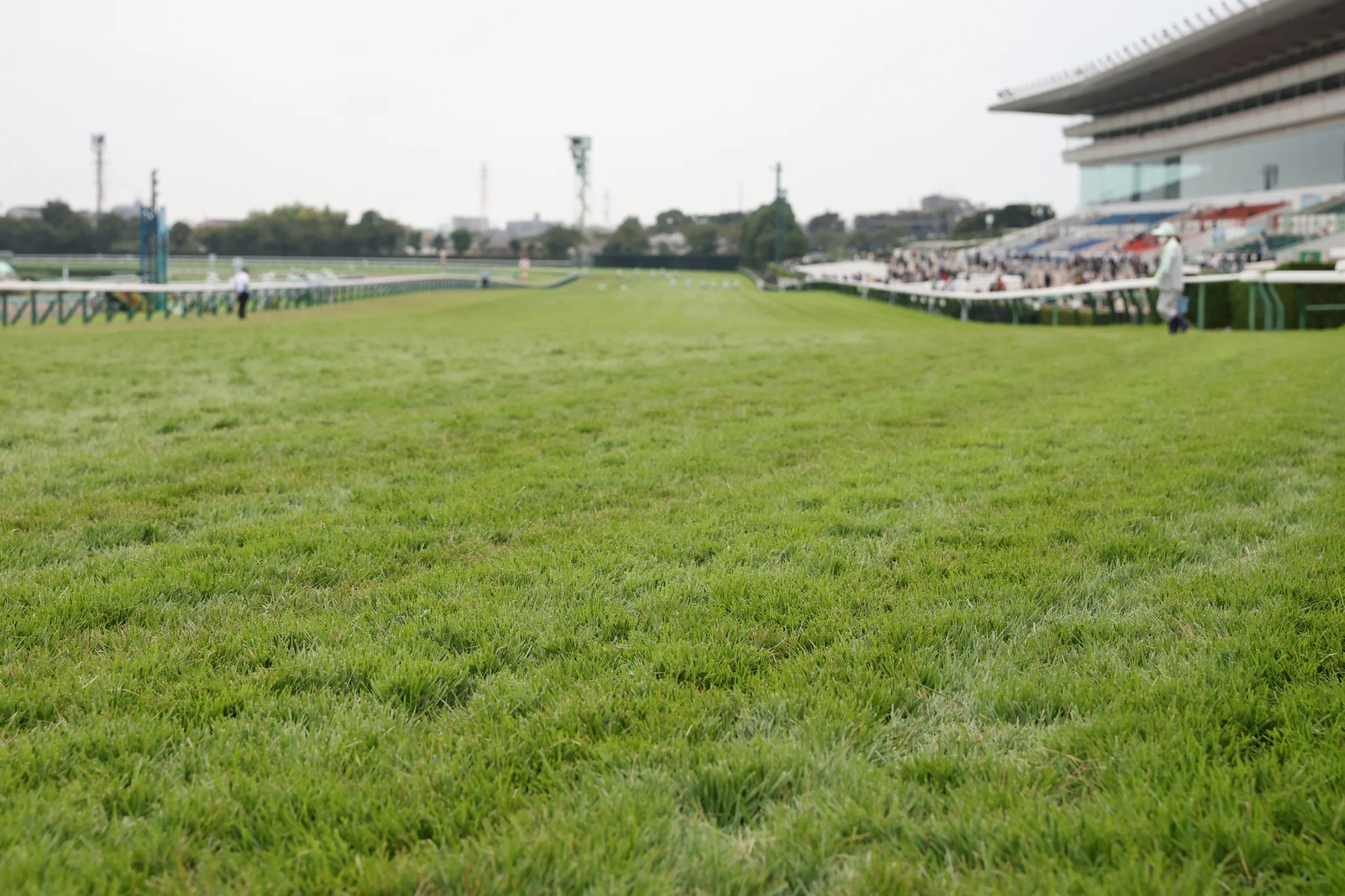 中山 競馬 場 馬場 状態