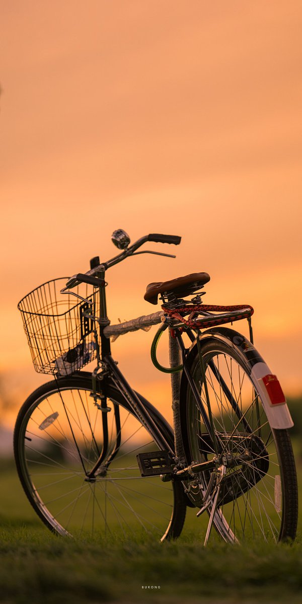 LillianaGidid's tweet photo. Life’s small win this week: fixed my old bike that’s been sitting in the garage for two years, and rode to the nearby park under golden sunsets. Feels like unlocking a tiny, warm little victory! https://t.co/xTaOupwEMC