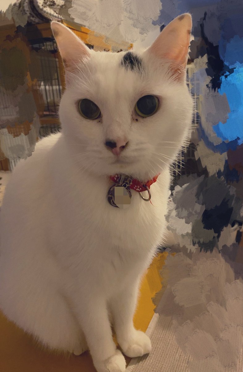 prin72's tweet photo. おはようございます🐾 https://t.co/1VhJafzlpk