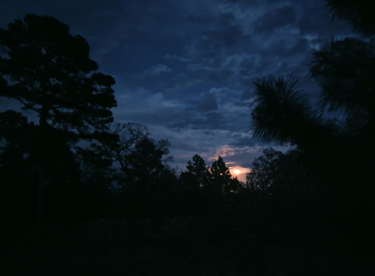 fatsosforest's tweet photo. i love to watch you rise https://t.co/SxToklO9KY