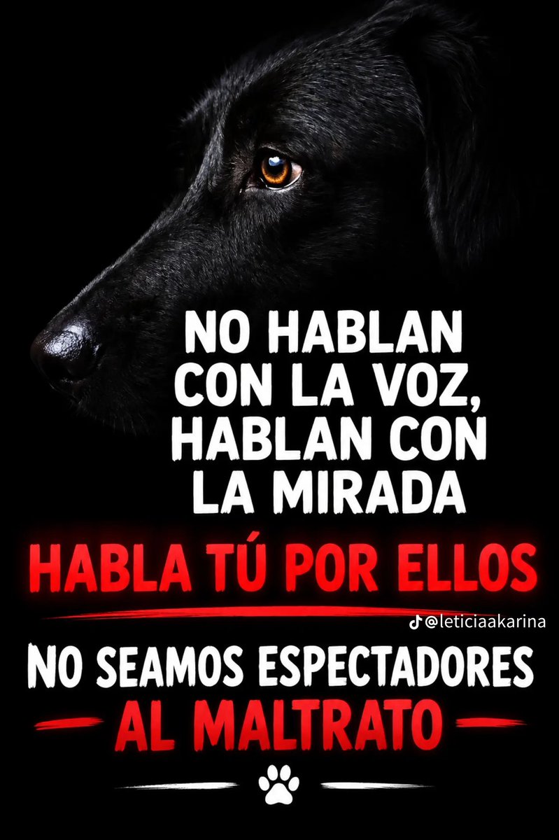 Mary_Jar's tweet photo. Esto. 👇🏼 https://t.co/Rx9nR9OxOu