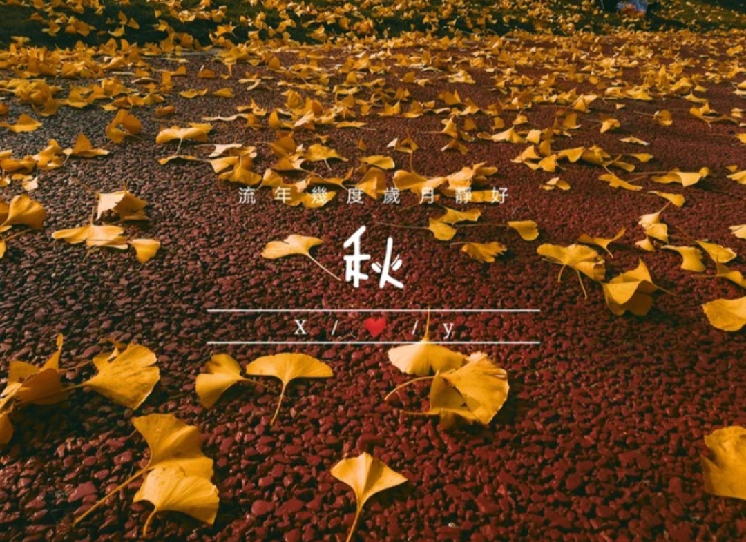 gimdongjun60929's tweet photo. [Leaf and Wa Juci bid farewell, the quiet autumn wind carries gentle parting.], https://t.co/54utxAy7Kw