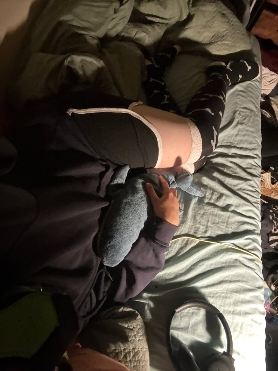 Fernthemutt's tweet photo. Just a little puppy all alone In his bed.. https://t.co/wgVBMhKYjC