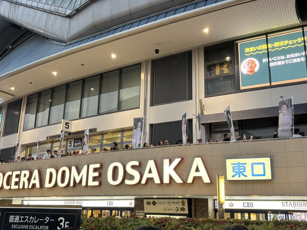 aaaaaas36's tweet photo. 控えめに言って神 https://t.co/b5aTyL1G6Z