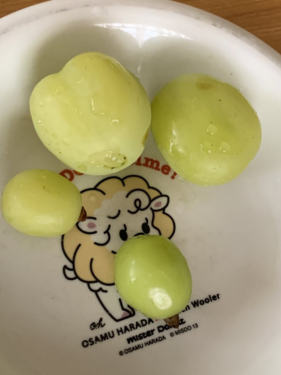 tepsai's tweet photo. 世界一大きいぶどう https://t.co/wTmWyqyyjF