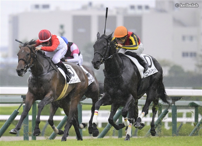 keibalab's tweet photo. 【きっと飛行機雲の上から見ている】
#コニーアイランド
#川田将雅
#阪神8R
#リバティアイランド 
https://t.co/r5Ja7gJ2pq https://t.co/lb3VvJ6MVc
