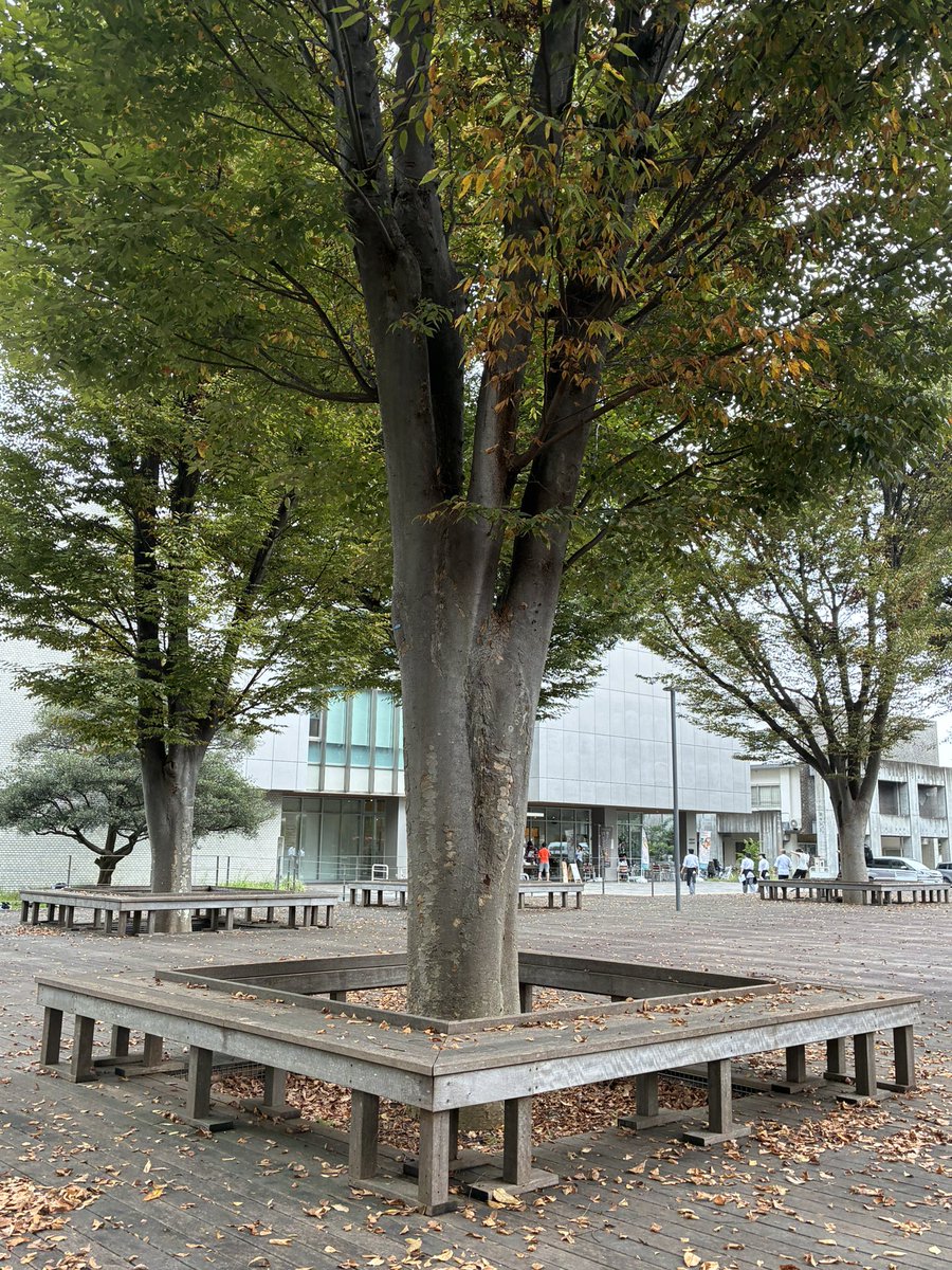 cacaocheese17th's tweet photo. 先輩リスペクトで池を一生懸命探したものの30分くらいかけてもわからなかったため、デカい木の下のベンチで妥協 https://t.co/JPsqGqXcwj