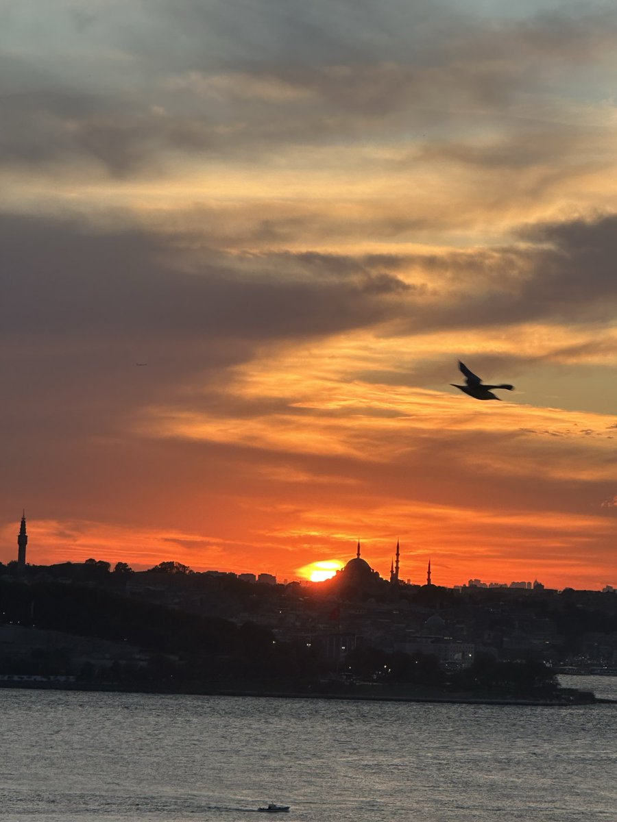 SunaAraz3's tweet photo. @turkerkilic İnsan, denizin olmadığı yerde umut adına martı olmalı🌈🌈🌎🐬🪽🪷🌝💧✨💦 https://t.co/LeuVoOY0tW