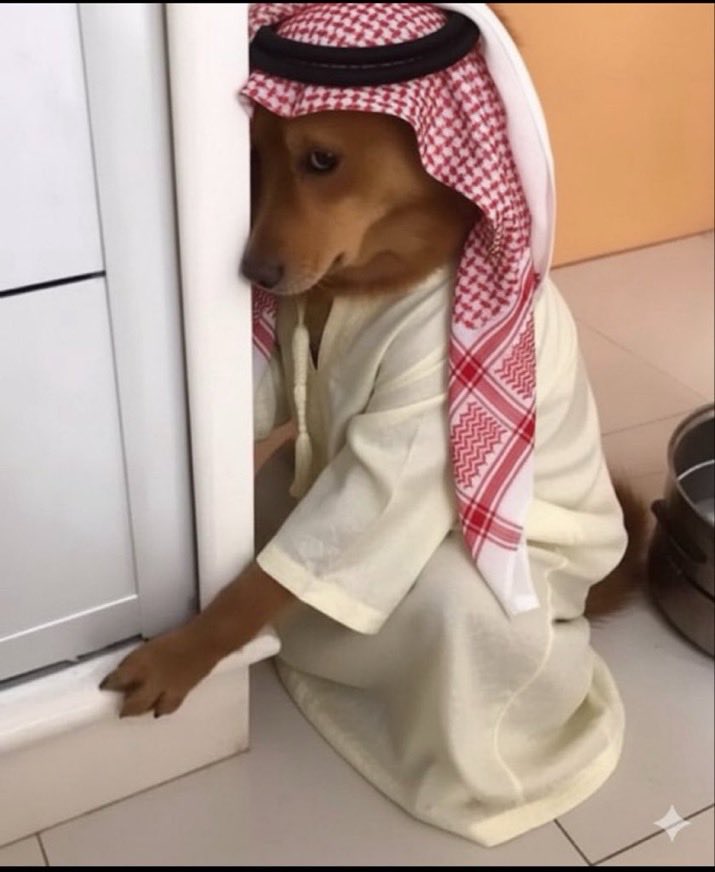 monna09099's tweet photo. @ashwasksa10 @ahmdahshan @asamir2468 من امتي وإنت بتعرف تحارب؟
انت اقصي شيء عملته باليمن انك تدفع ليمني ليغدر بمصري في الظلام
ومن سخرية القدر بيك انك اليوم بتحارب نفس النظام اللي حاربه عبد الناصر بالامس، بس الفرق ان عبد الناصر انتصر وحولها لجمهورية مثلما أراد، بينما انت هزايمك باليمن جعلتك اضحوكة العالم يا ابو شخة👇 https://t.co/Ni0Nxc5XZx