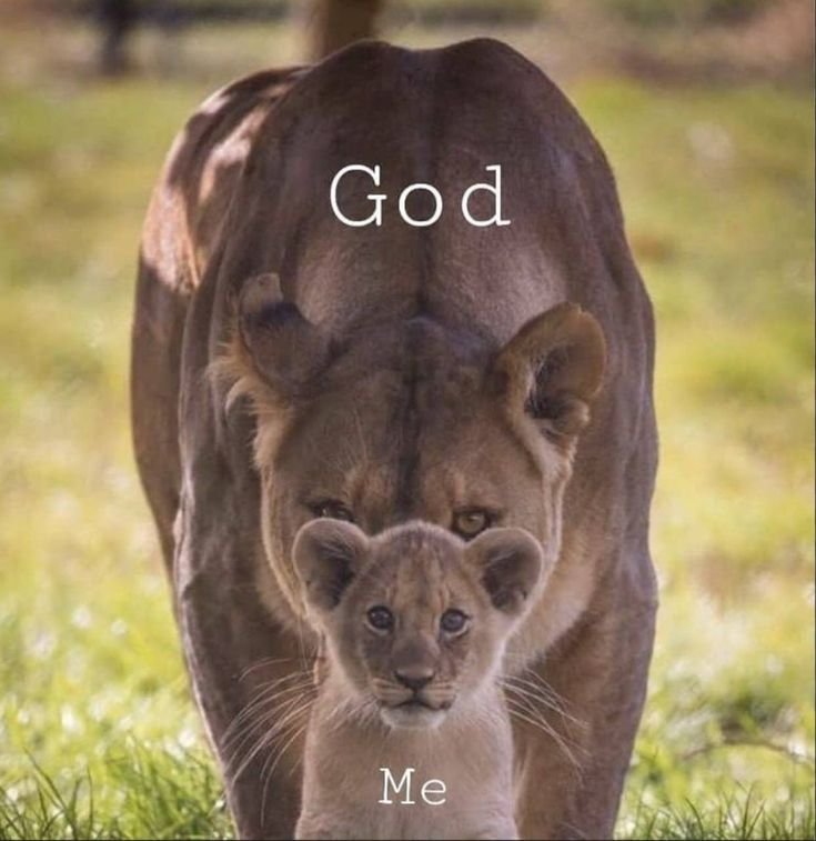 realmantalk3's tweet photo. My protector. https://t.co/3dtN7DRJIa