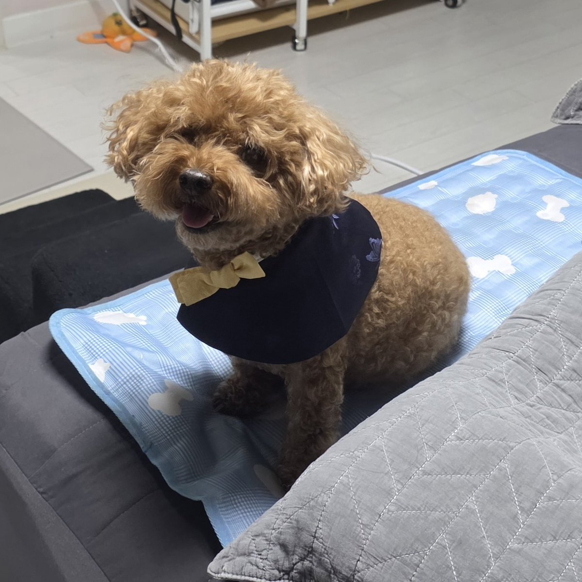gamedeep893's tweet photo. 늦었지만 해피추석~ https://t.co/3OMXvZcvU2