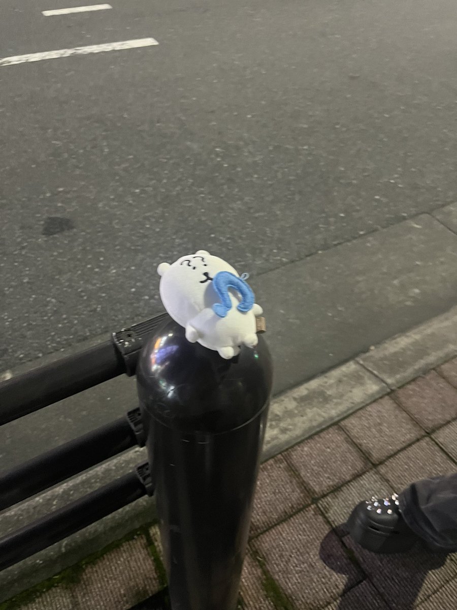 o9s_55's tweet photo. 秋葉原に落ちてた子
高い位置においてきた https://t.co/cRu4I80lNm