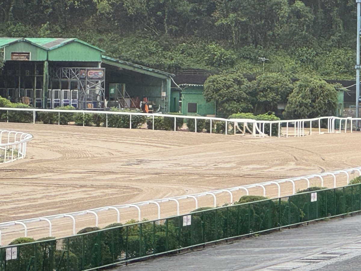 sagaimamura's tweet photo. 今日も雨☔の佐賀競馬場。
馬場発表は「不良」。

佐賀３歳ラスト１冠のタイトルは誰の手に‼️
重賞「ロータスクラウン賞」の発走予定は18:05分です。お楽しみに〜🐎‼️

MCは #井上瑠香さん、
解説は #うまかつ.net りゅうさんです。

#さがけいば #サガデーナイト競馬
#UMATENA
#うまかつアプリ https://t.co/c0ku0bHxl7
