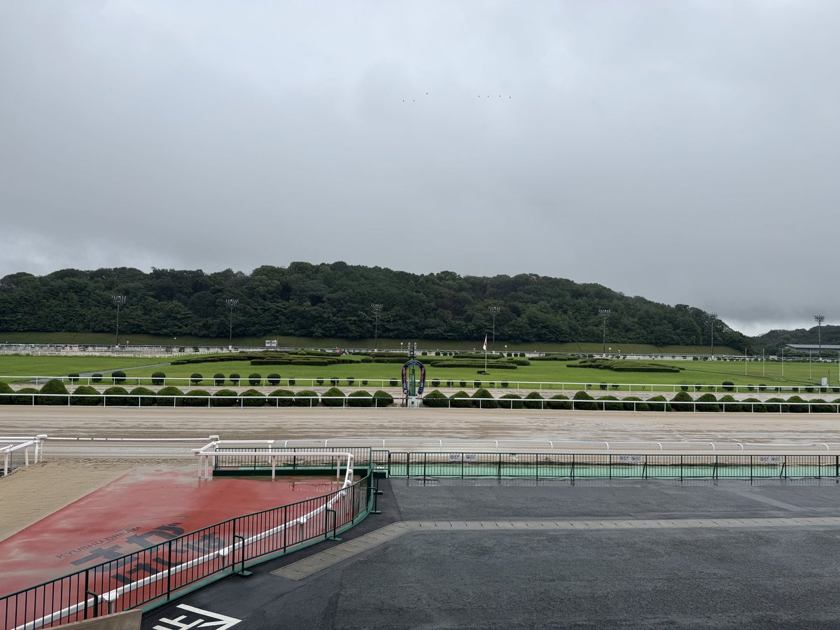 sagaimamura's tweet photo. 今日も雨☔の佐賀競馬場。
馬場発表は「不良」。

佐賀３歳ラスト１冠のタイトルは誰の手に‼️
重賞「ロータスクラウン賞」の発走予定は18:05分です。お楽しみに〜🐎‼️

MCは #井上瑠香さん、
解説は #うまかつ.net りゅうさんです。

#さがけいば #サガデーナイト競馬
#UMATENA
#うまかつアプリ https://t.co/c0ku0bHxl7