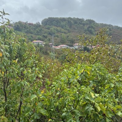 Selimbicer78's tweet photo. #YeniProfilResmi https://t.co/wkP1Dx6V8o