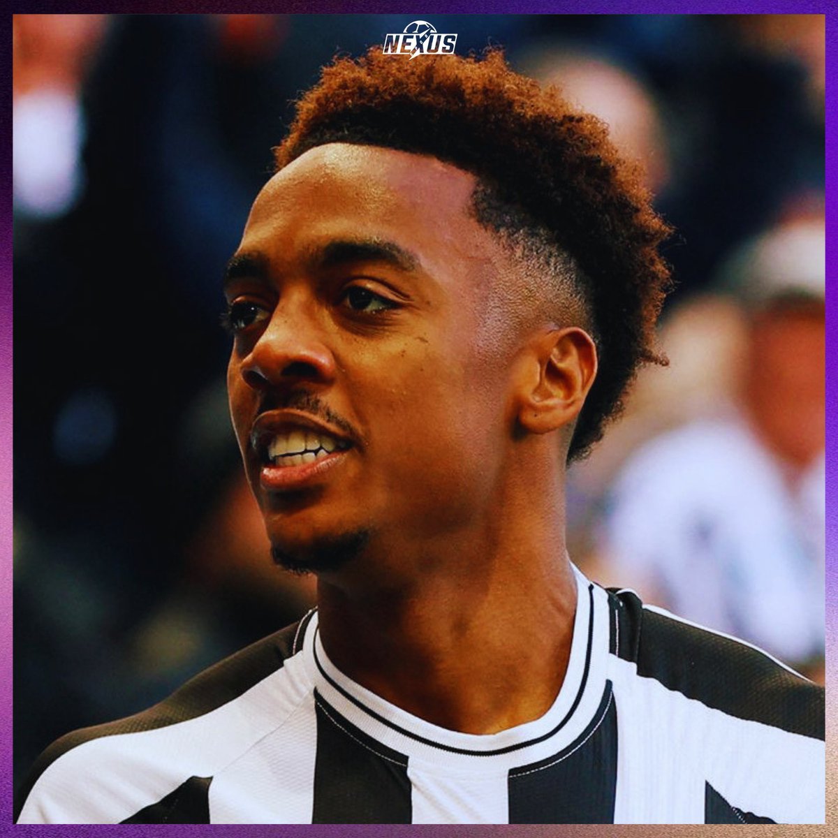 nexustransfer's tweet photo. 🚨 Serdal Adalı: “Devre arasında Joe Willock’a imza attıracağım.” https://t.co/dVoovq4ryu