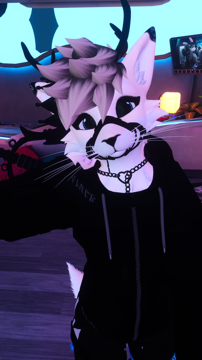 LiokeyFox's tweet photo. Have a great night everyone! https://t.co/t35gYTxW17