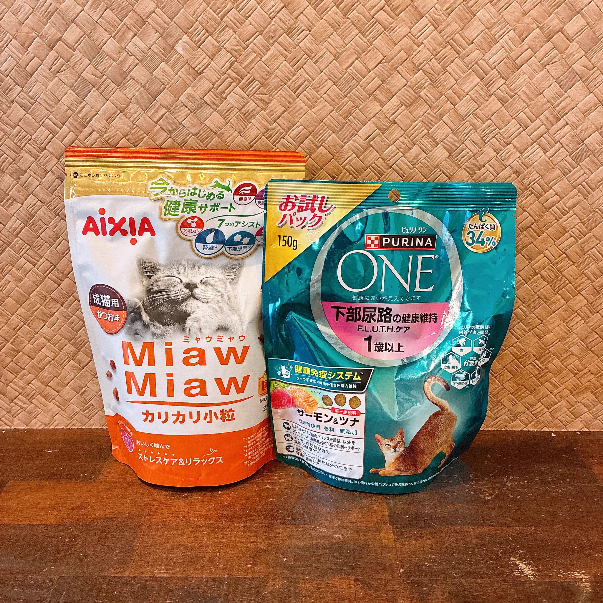 関東3店】譲渡型猫カフェ にゃんくる on X: 