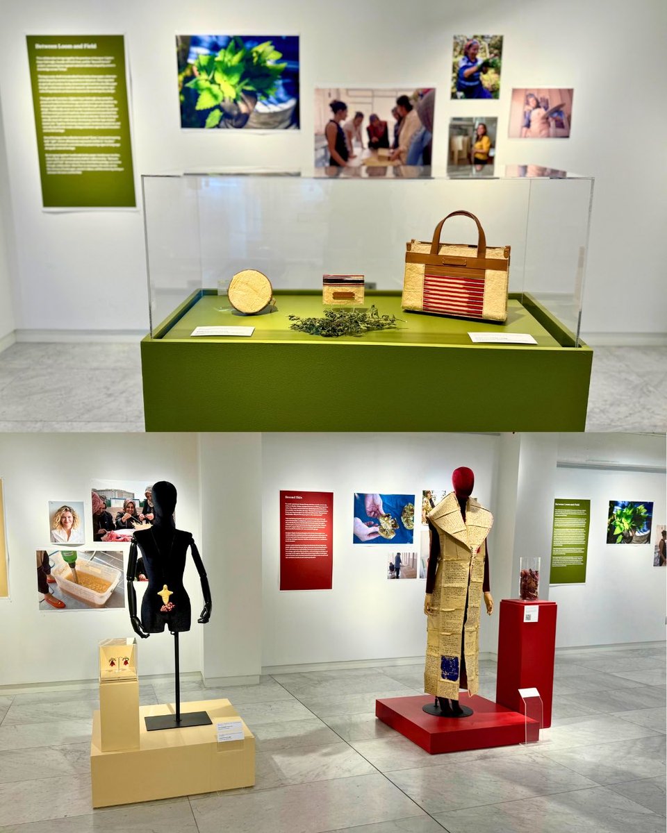 undpturkiye's tweet photo. 🌾Leftover barley straw from Adıyaman finds a new life through the #SecondHarvest project by Anadolu Efes &amp; UNDP! This inspiring story, shaped by women's labor, is now on display at the "Soil to Surface" exhibition at New York FIT from Sep 24 to Nov 1. 
🔗 https://t.co/rhHejNoPRI https://t.co/FfrnoagATL