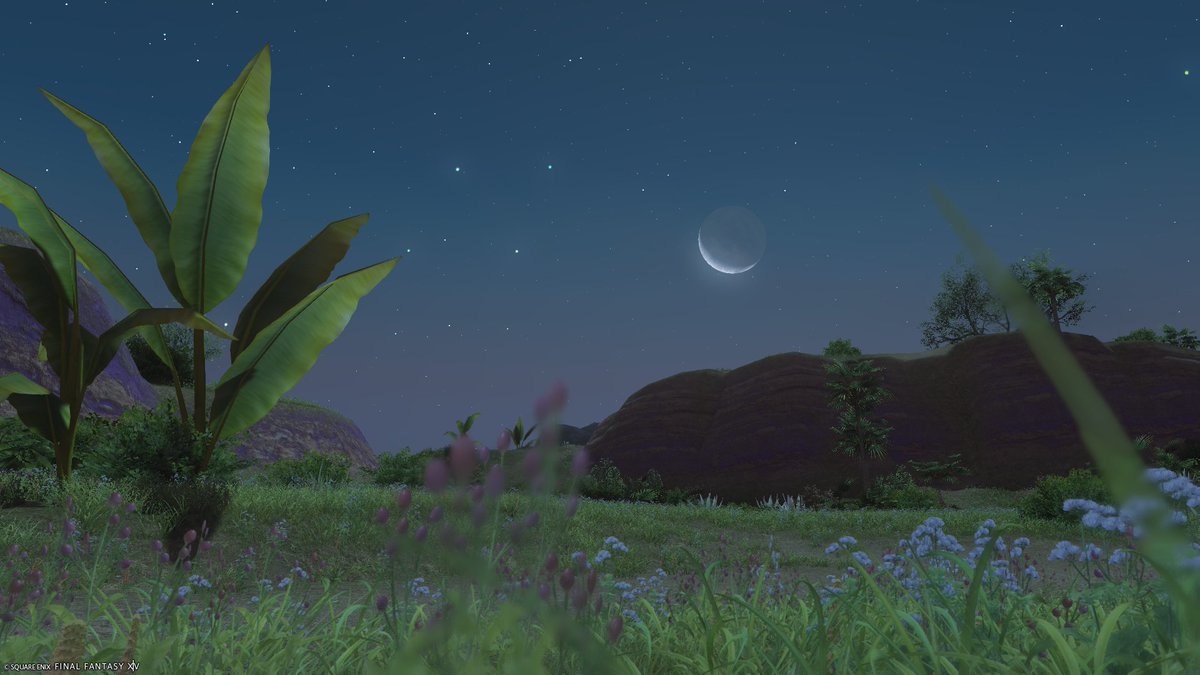 Moyashi159's tweet photo. #FF14風景 https://t.co/LyKvUGVCY3
