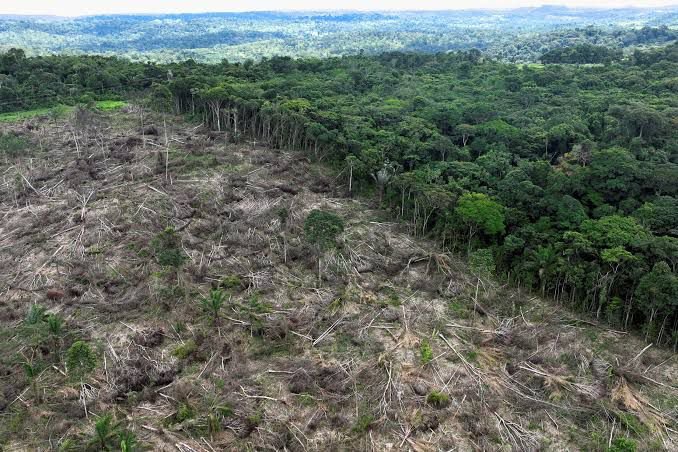 keishaali15's tweet photo. Stop saying “the planet is dying.”  
It’s not.  
It’s being deliberately destroyed by corporations and executives who choose short-term profit over life.  
This isn’t a natural crisis.  
It’s a greed crisis with names and addresses.  
#ClimateJustice 
#StopEcocide
#StopEACOP https://t.co/FXf5Z3qsU0