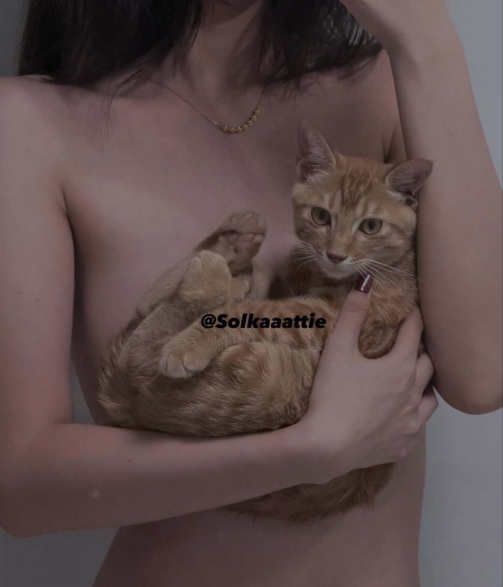 Solkaaattie's tweet photo. 🧡乖崽崽（小猫变bra https://t.co/Oe52vLTxNA