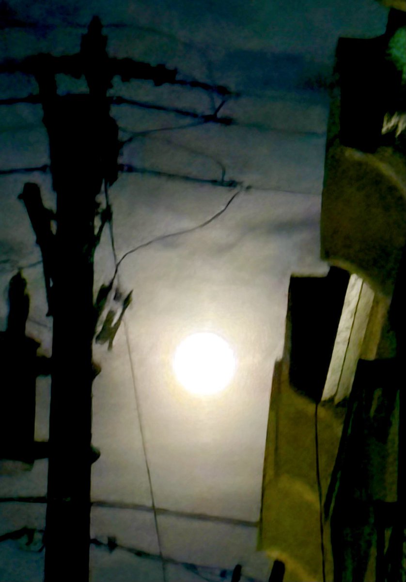ZaraSadowsky42's tweet photo. #Moon. 💯% #Obsession 
#Fullmoon https://t.co/9Bz0kL9MJR