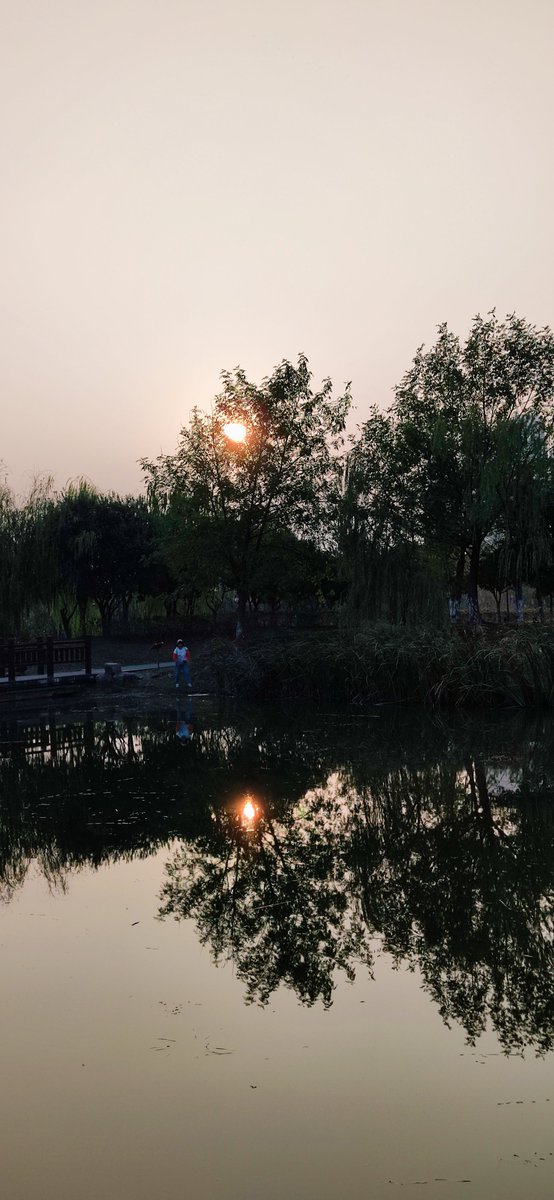 BridgetteFkj's tweet photo. [Nuestro club de fotografía organiza una salida al parque este sábado: ven a capturar atardeceres y momentos geniales, trae tu cámara y tu energía! ]， https://t.co/DrYxQTfUxD