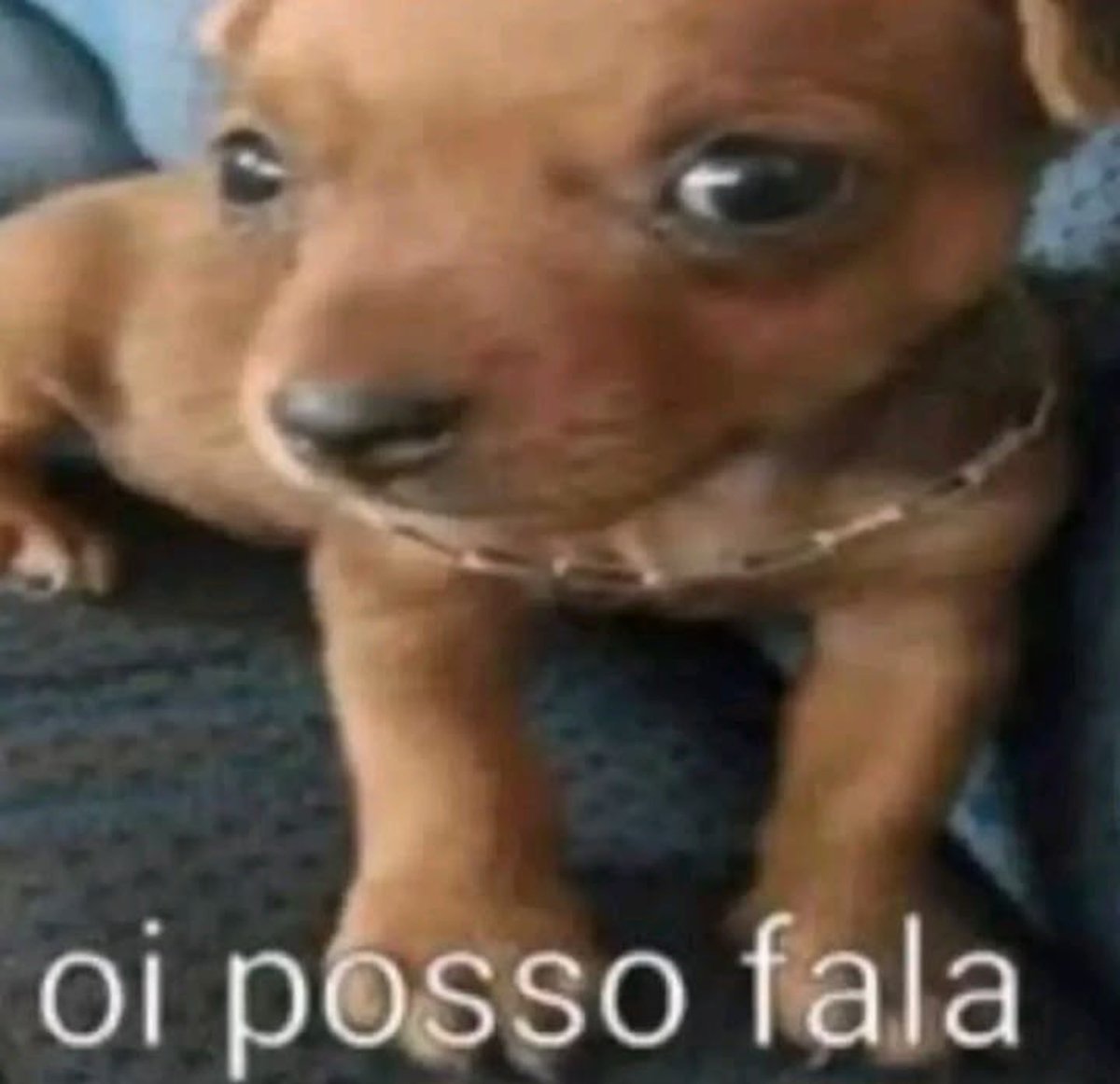 manipulzdor's tweet photo. #newpfp virei homem 🔞 https://t.co/QLmZXrv0uR