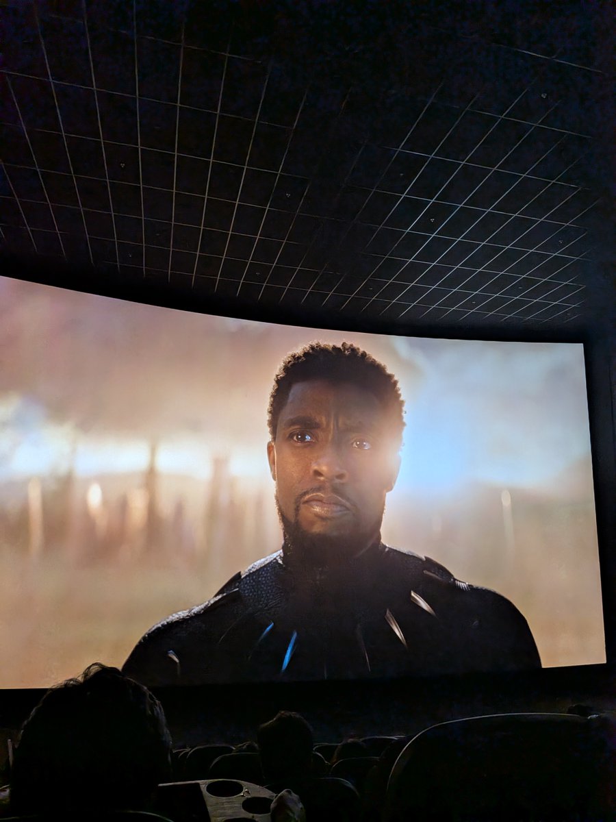 MaheshPawaar's tweet photo. Everyone will return in Doomsday, but not him. 💔 #BlackPanther https://t.co/LSPBZVqhUs