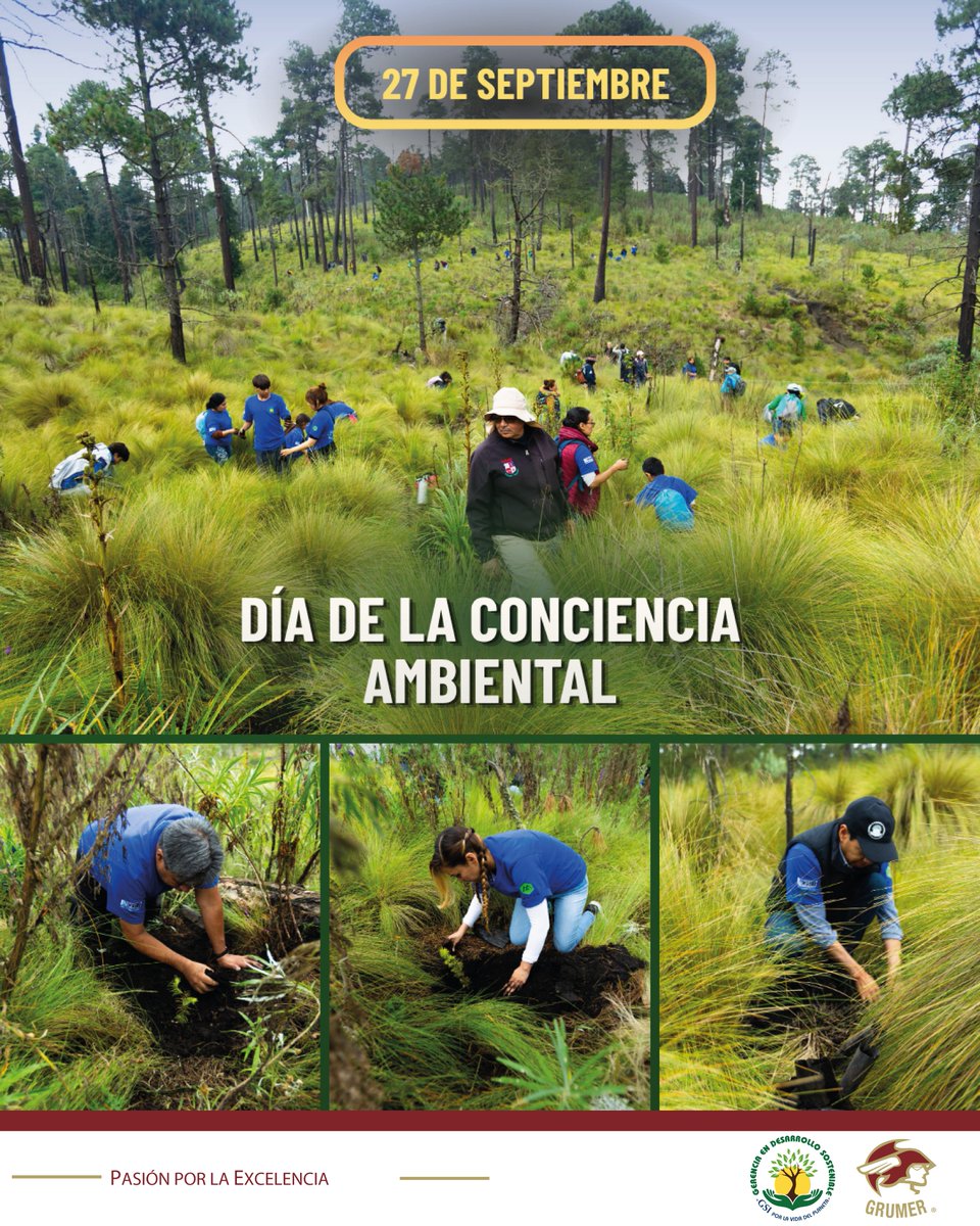 GrumerMx's tweet photo. 🌎 El #DíaDeLaConcienciaAmbiental nos recuerda la importancia de adoptar hábitos responsables para proteger nuestro entorno y preservar los recursos naturales.

Desde Grumer, impulsamos una cultura de compromiso y acción por un futuro más sostenible. 🌿

#Sostenibilidad https://t.co/zaLzzYVr4r