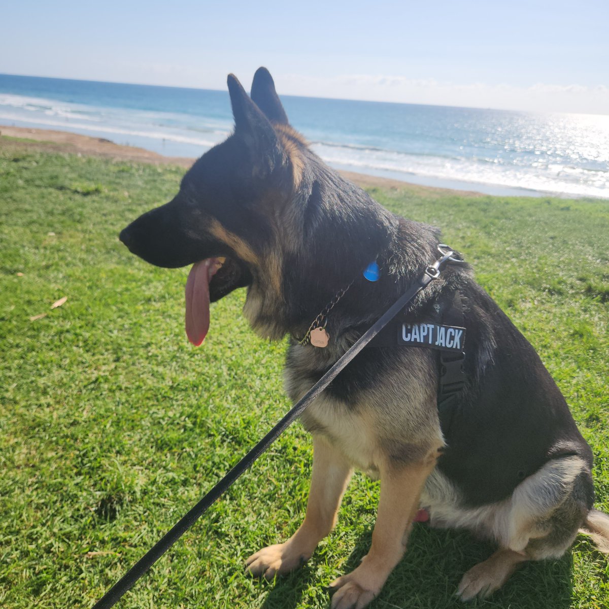 CaptWeasy's tweet photo. @trumplicans2024 Capt Jack living his best life https://t.co/ed48jAnOiO