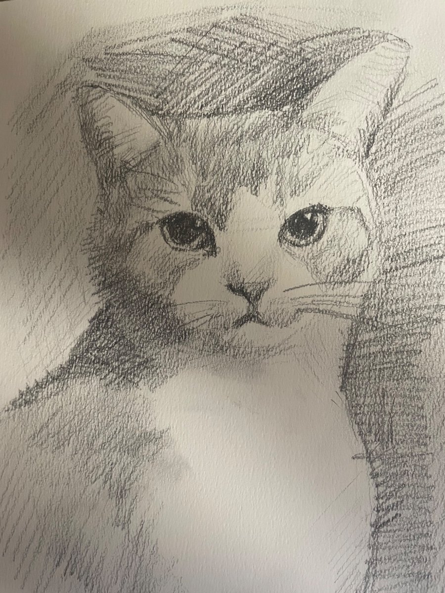 gaichu2026's tweet photo. ちょっと前に描いたやつ https://t.co/ccucm0HiwJ