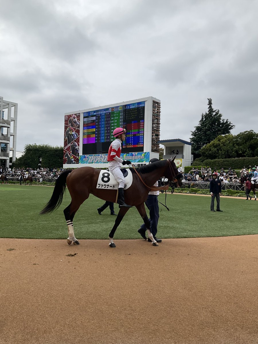 Blooming_HC's tweet photo. 【本日出走🏇】

#ファウナード
本日9月27日（日）中山・ダート1800m戦に石橋脩騎手で出走します！

最終追い切りでは、馬体に逞しさが増しパワーアップしているとの報告✨
今回は初のダート戦。ワンペースな走りを見せる現状からも、条件替わりでどのような走りを見せてくれるか注目です。

応援よろしくお願いいたします！

#BloomingHC #ブルーミング