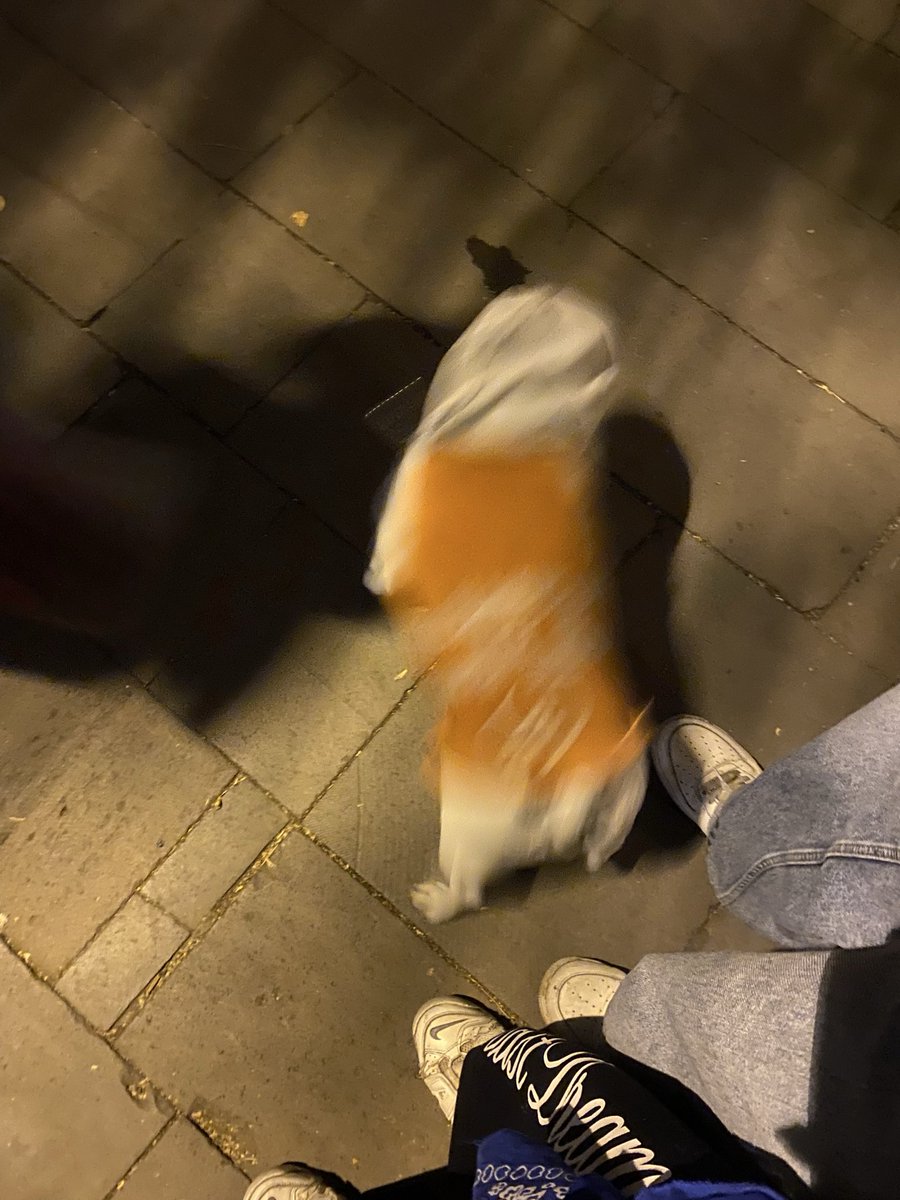 mericsyree's tweet photo. marsel bi rahat dursaydı 4lü güzel bi kare olacaktı https://t.co/W9qoCRClaM